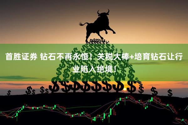 首胜证券 钻石不再永恒！关税大棒+培育钻石让行业陷入绝境！