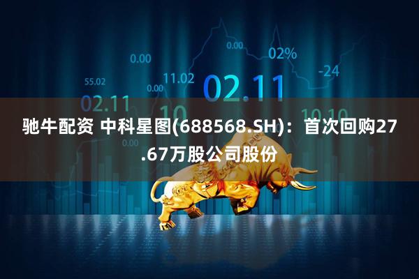 驰牛配资 中科星图(688568.SH)：首次回购27.67万股公司股份