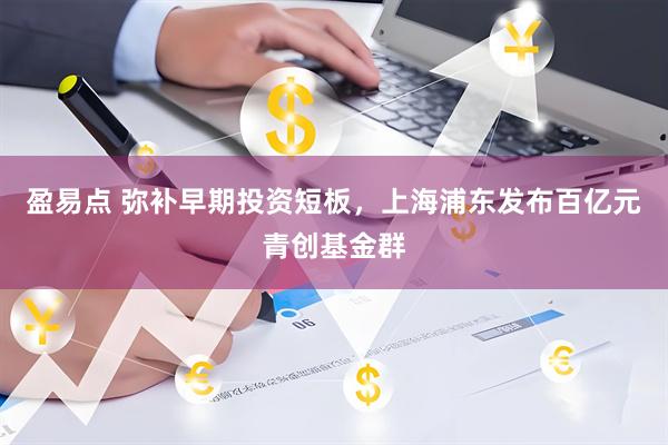 盈易点 弥补早期投资短板，上海浦东发布百亿元青创基金群